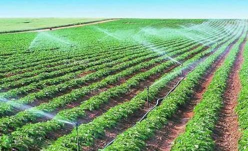 无码大阴蒂视频农田高 效节水灌溉